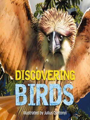 cover image of Discovering Birds